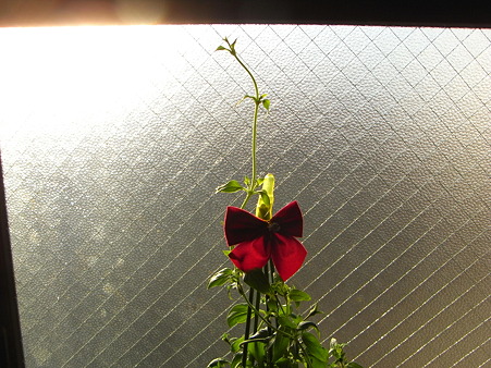 R0011124
