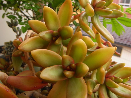 R0012169