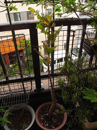 R0012240