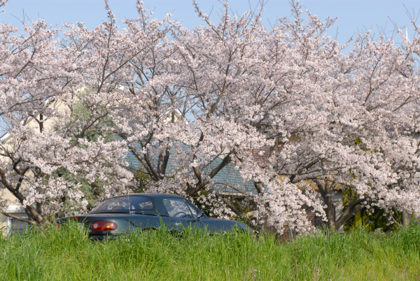 ４月