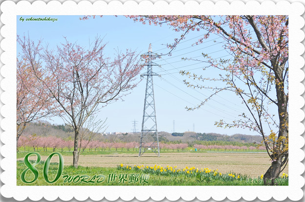 ＜花景色＊北浅羽の桜 in 2012＞